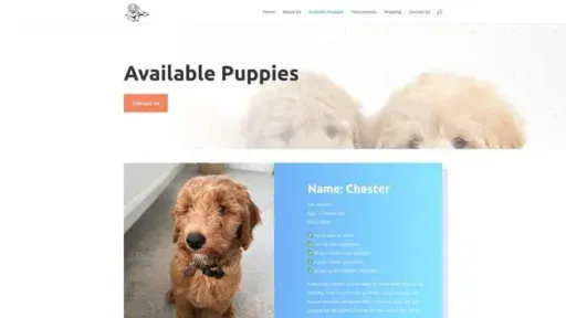 Screenshot of