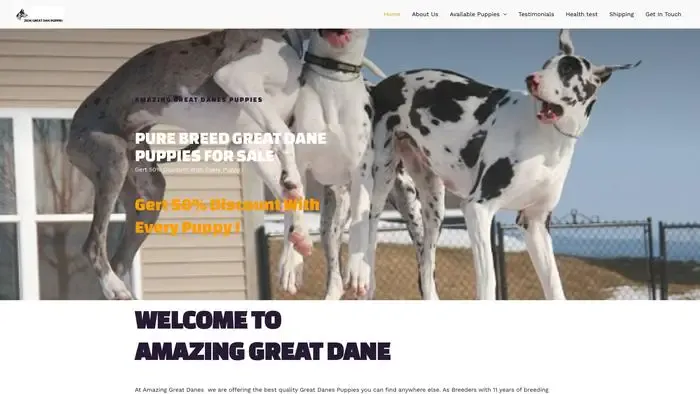 Screenshot of
