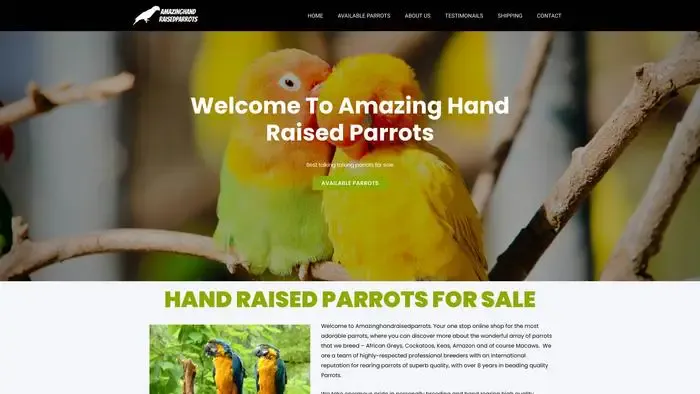 Screenshot of
