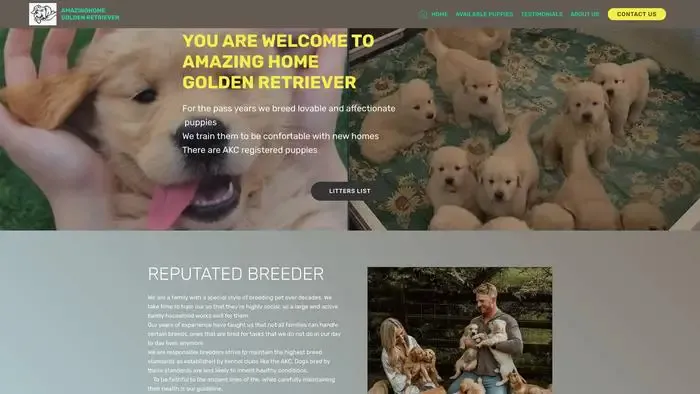 Screenshot of