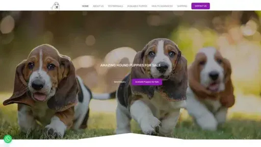 Screenshot of