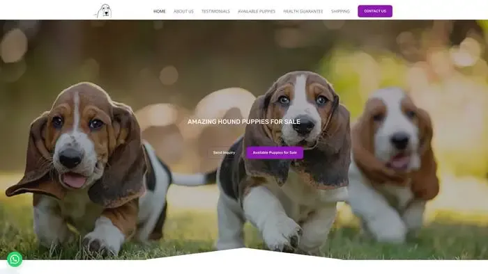 Screenshot of