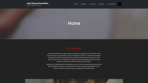 Screenshot of