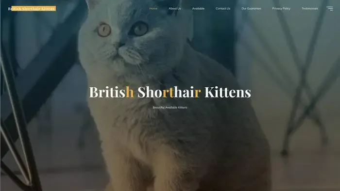 Screenshot of
