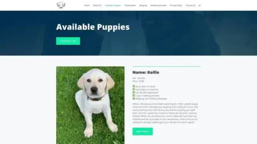 Screenshot of