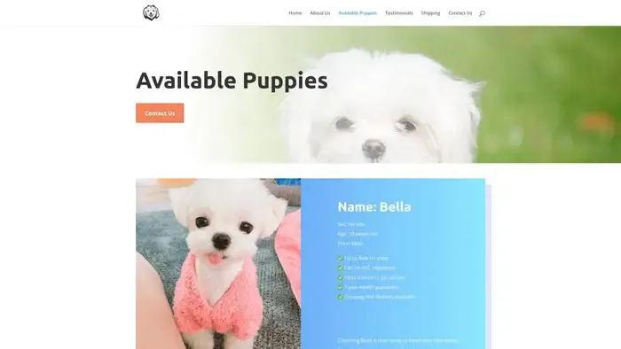 Screenshot of