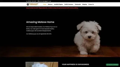 Screenshot of