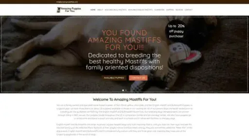 Screenshot of