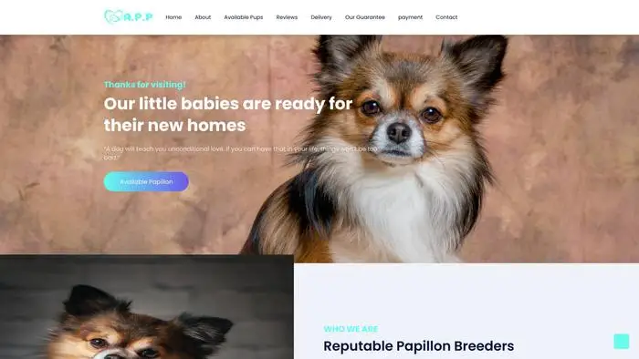 Screenshot of