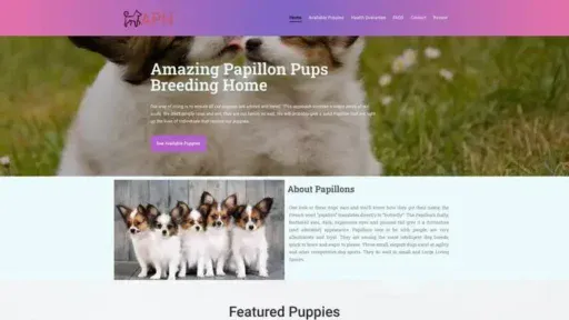 Screenshot of