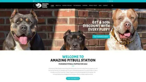 Screenshot of||