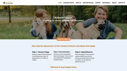 Screenshot of