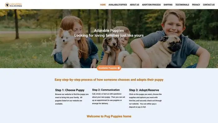 Screenshot of
