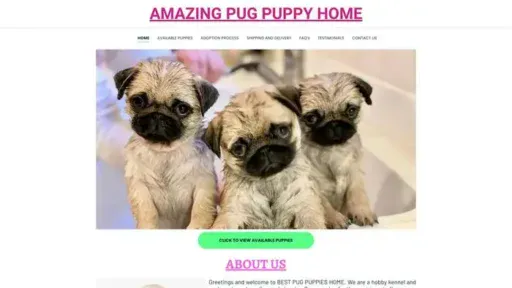 Screenshot of