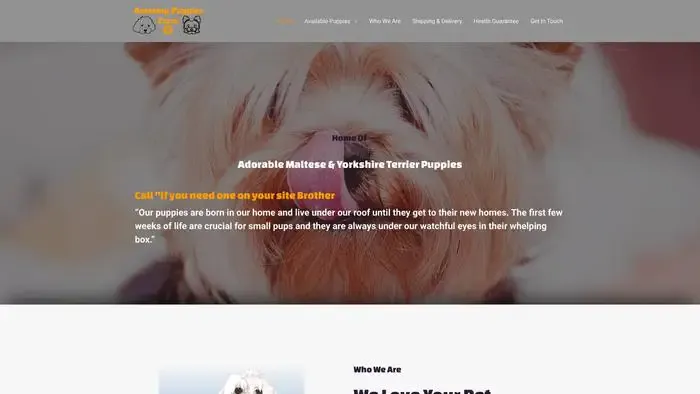 Screenshot of