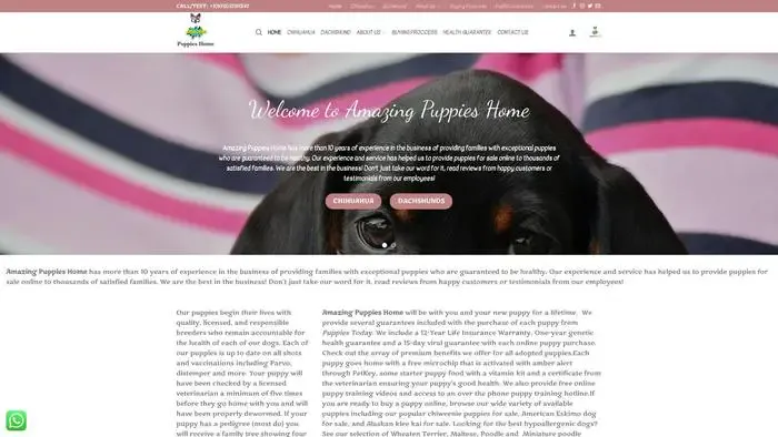 Screenshot of