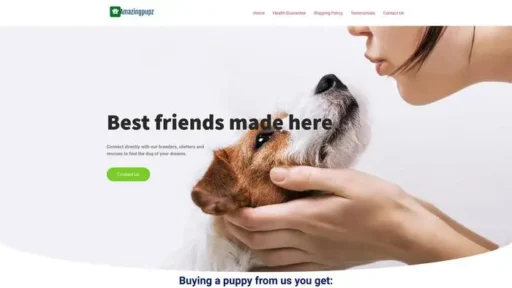 Screenshot of