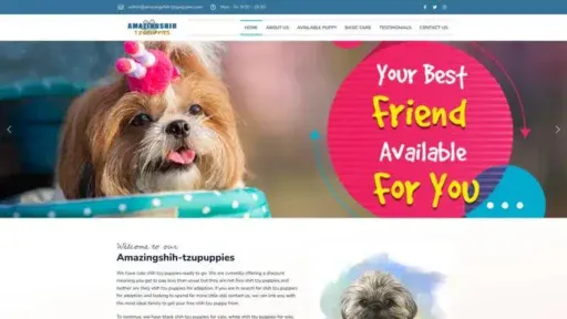 Screenshot of