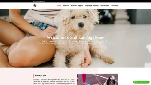 Screenshot of