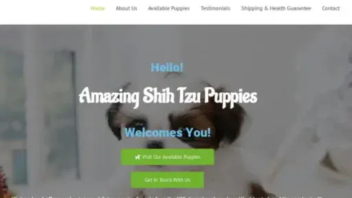 Screenshot of