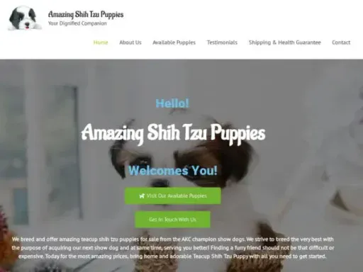 Screenshot of