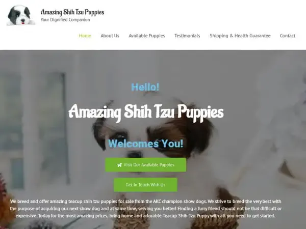 Screenshot of