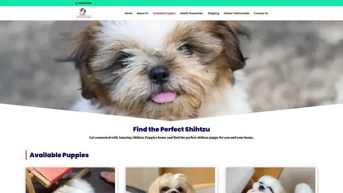Screenshot of