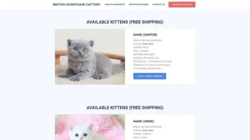Screenshot of