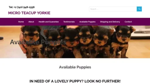 Screenshot of|