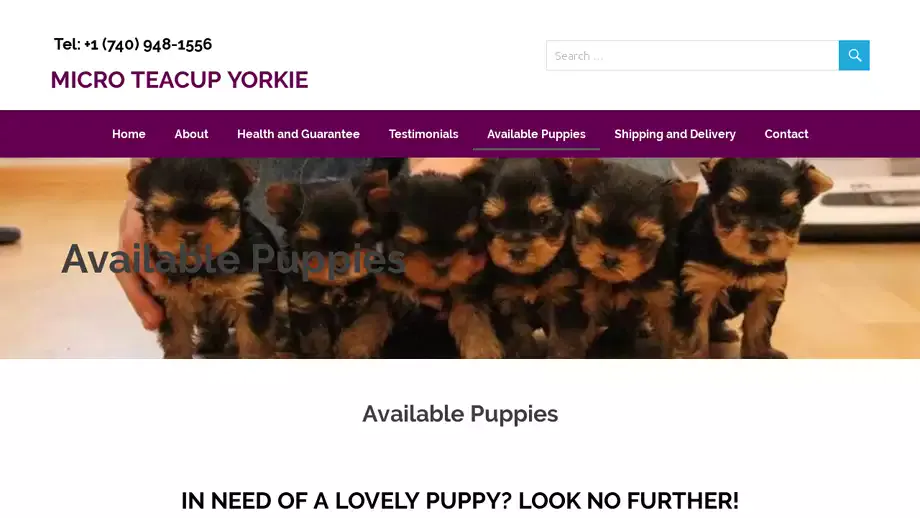 Screenshot of|