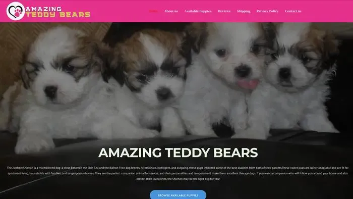 Screenshot of