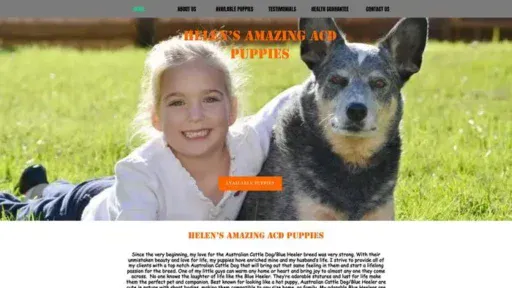 Screenshot of