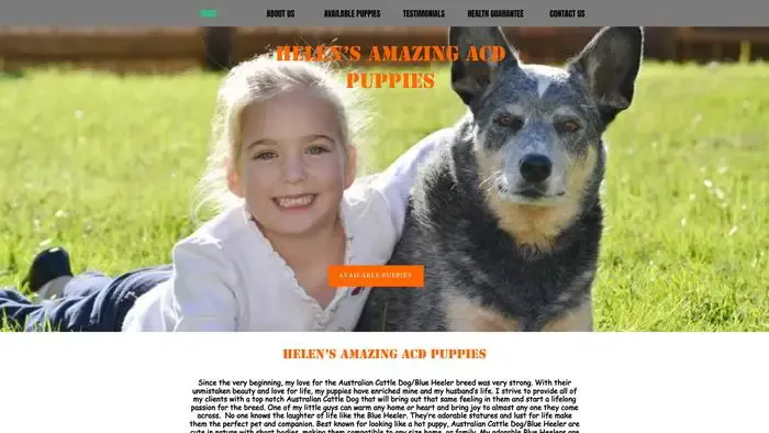 Screenshot of