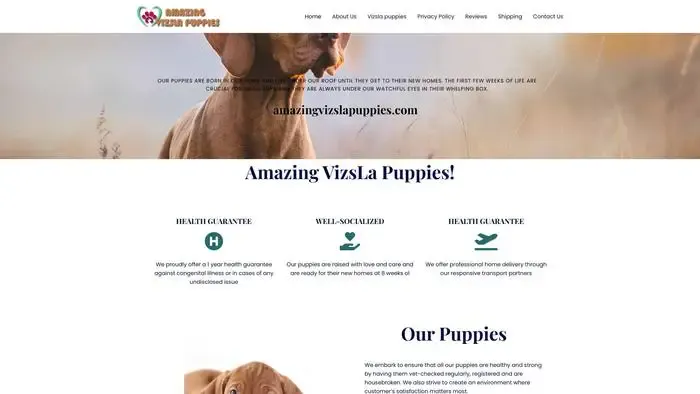 Screenshot of