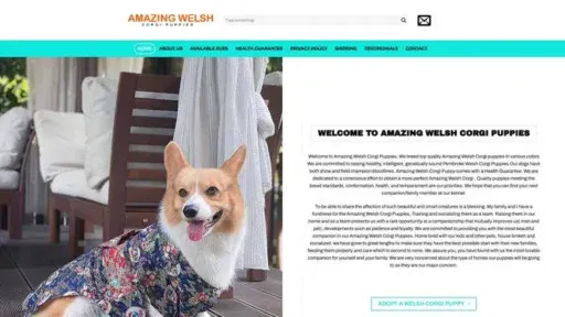 Screenshot of