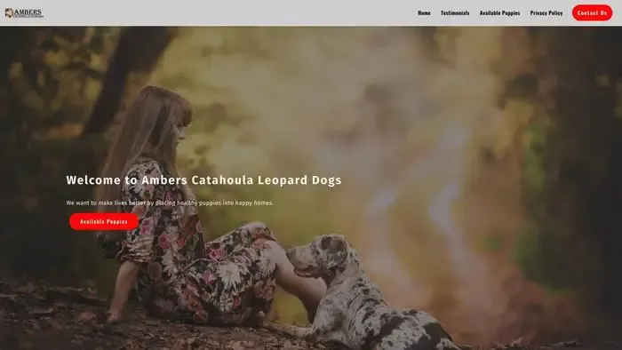 Screenshot of