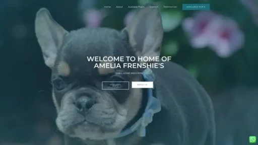 Screenshot of