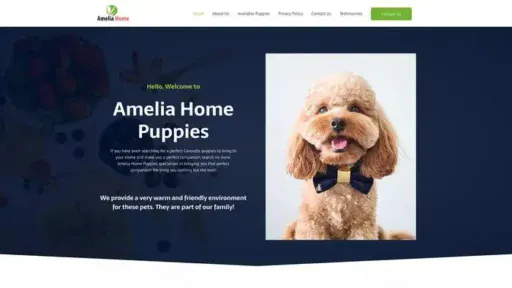 Screenshot of