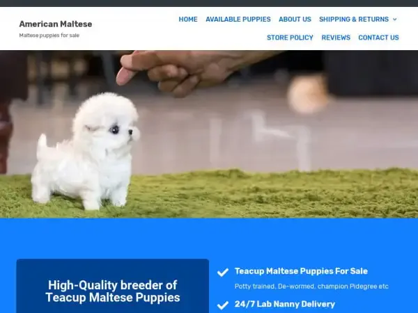 Screenshot of