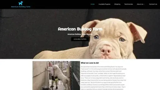 Screenshot of