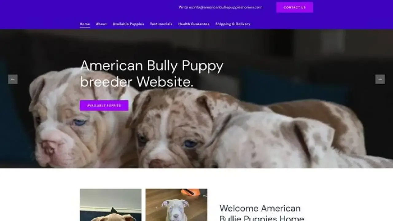 Americanbulliepuppieshomes