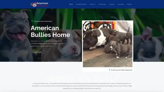 Screenshot of