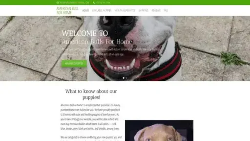 Screenshot of