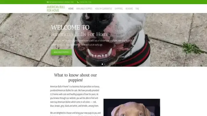 Screenshot of