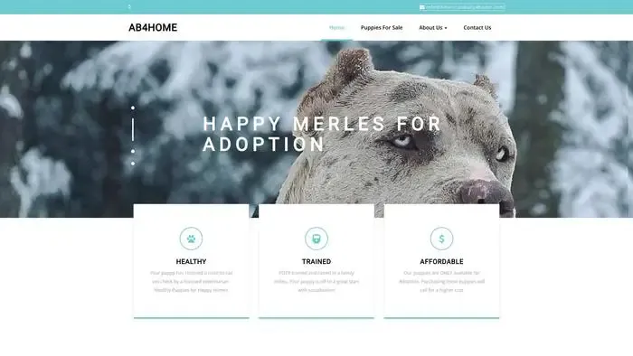 Screenshot of