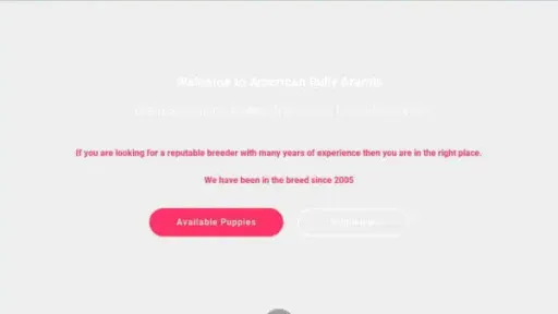 Screenshot of