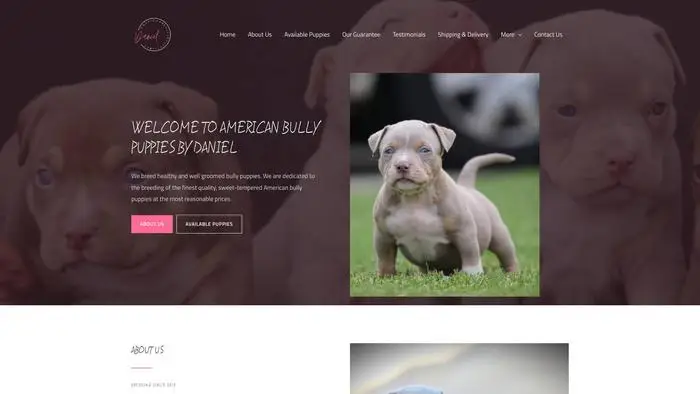Screenshot of