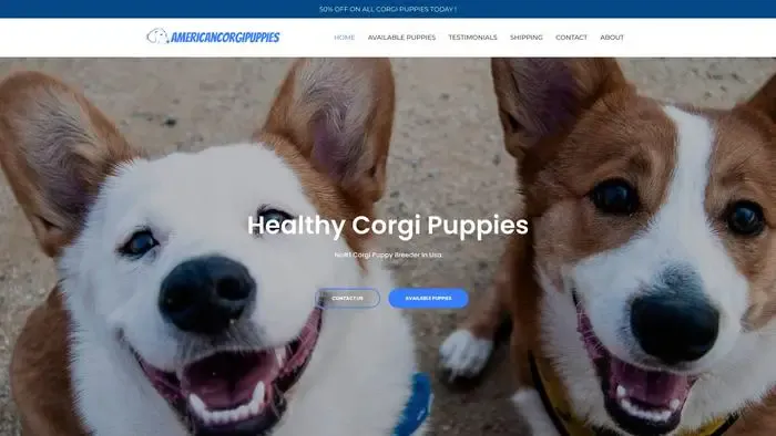 Screenshot of