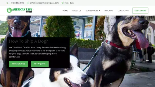 Screenshot of|