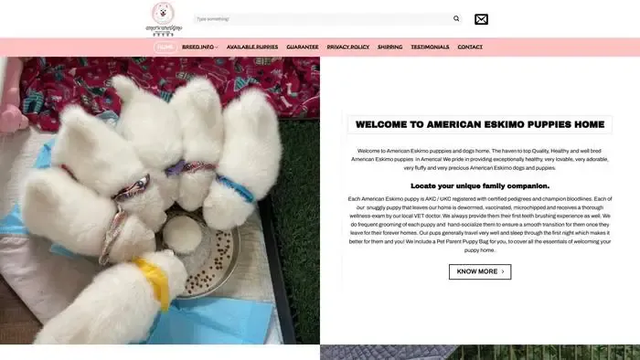 Screenshot of